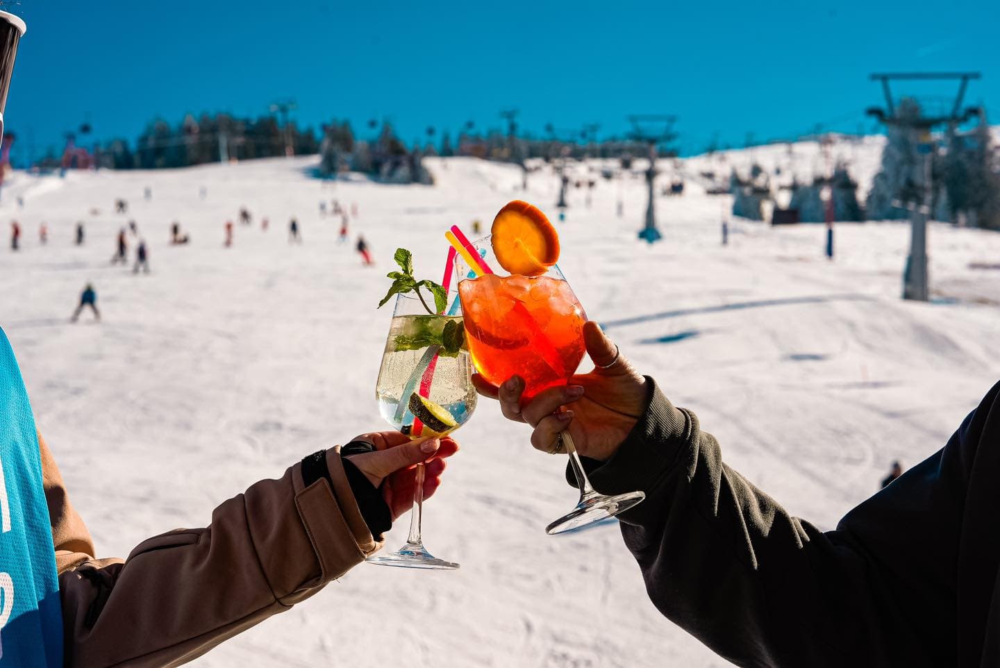 Restaurant Platoul Soarelui - 8